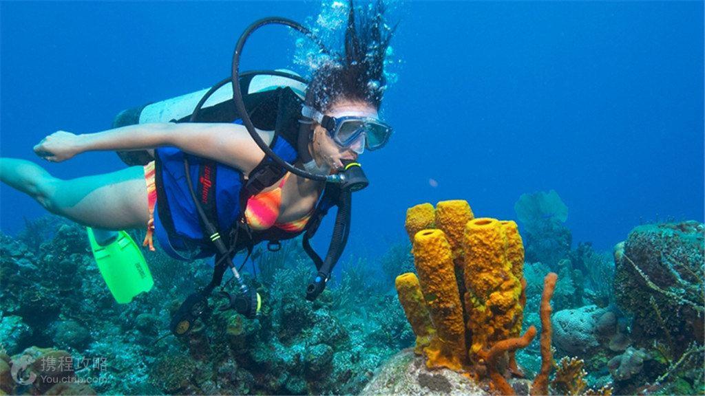 汽车钥匙 遥控锁突然失灵了 怎么回事呢？主要车子当天晚上没电了游戏画面