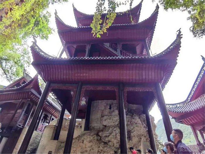 “小老虎”刘美君：只要上场就全力以赴