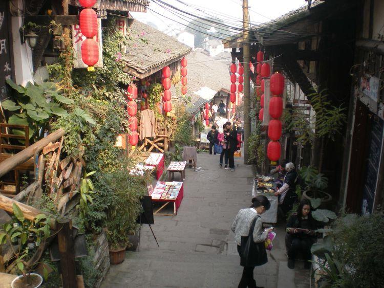 生物多样性保护有了战略指引